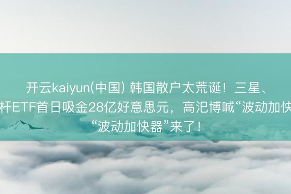 开云kaiyun(中国) 韩国散户太荒诞!三星、海力士杠杆ETF首日吸金28亿好意思元,高汜博喊“波动加快器”来了!