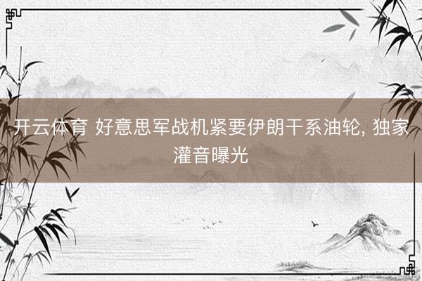开云体育 好意思军战机紧要伊朗干系油轮， 独家灌音曝光