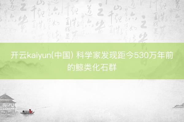 开云kaiyun(中国) 科学家发现距今530万年前的鲸类化石群