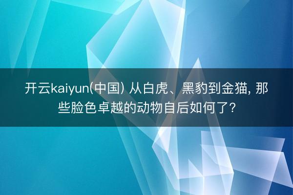 开云kaiyun(中国) 从白虎、黑豹到金猫， 那些脸色卓越的动物自后如何了?