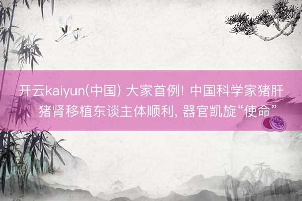 开云kaiyun(中国) 大家首例! 中国科学家猪肝、猪肾移植东谈主体顺利, 器官凯旋“使命”